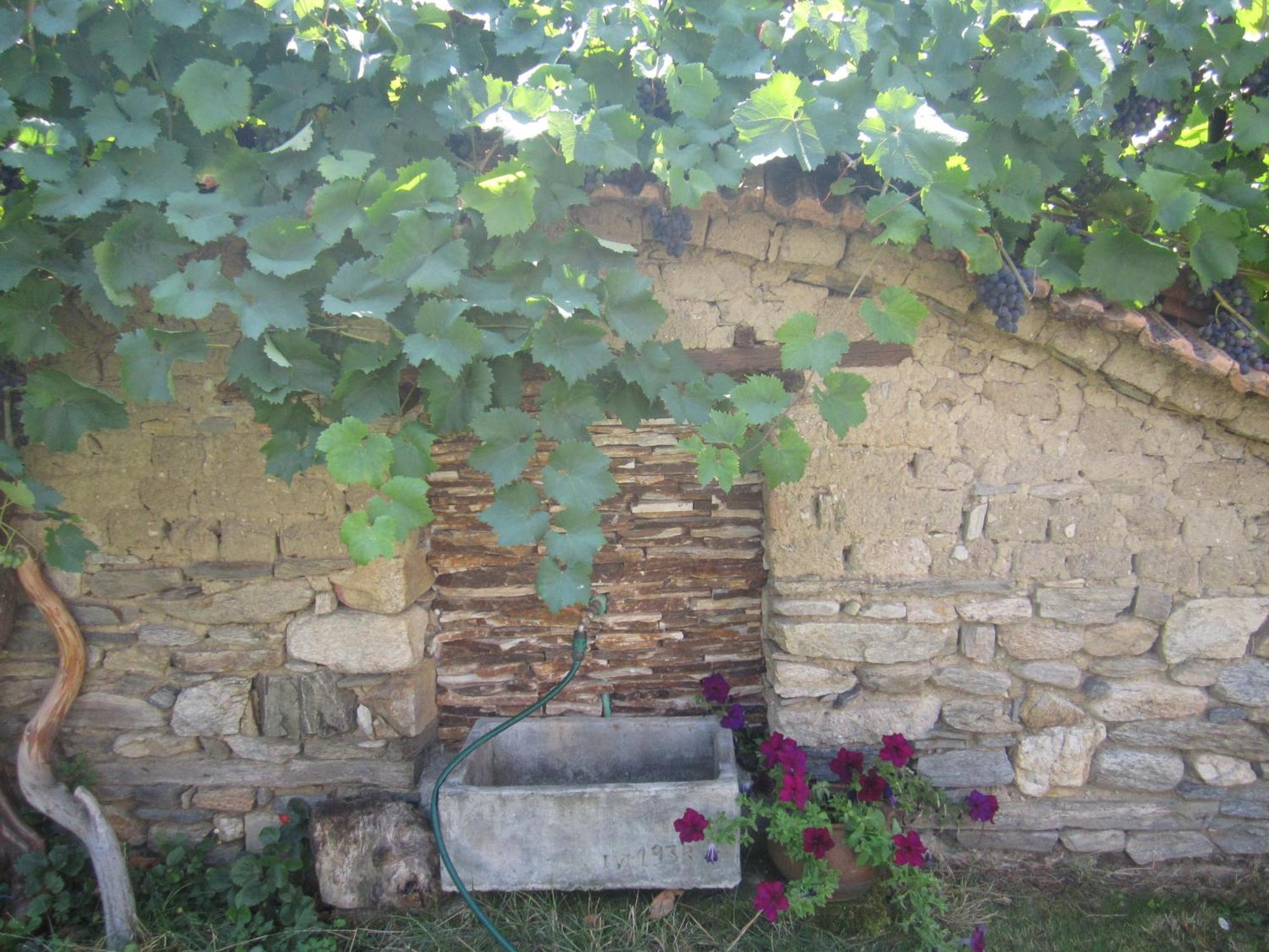 Guest House Popov Marchevo المظهر الخارجي الصورة